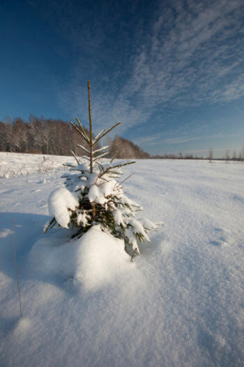 &#91;INFO&#93; 5 fobia yang tak biasa dan paling unik di dunia 