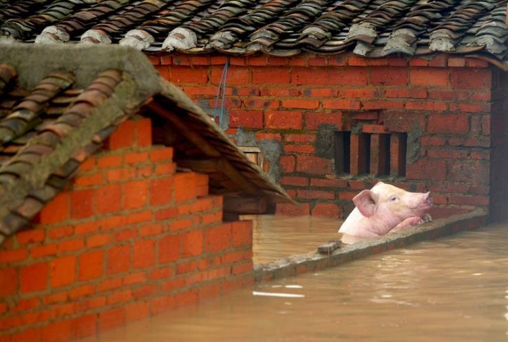 Mereka yang Terjebak dalam Banjir