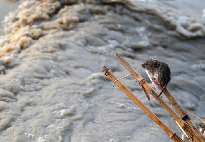 Mereka yang Terjebak dalam Banjir