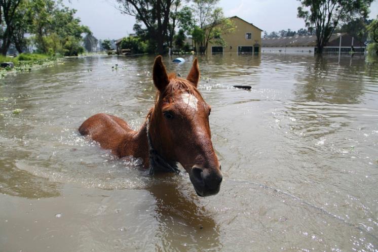 Mereka yang Terjebak dalam Banjir