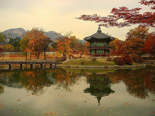 7D AUTUMN KOREA (DOMUS75.2)