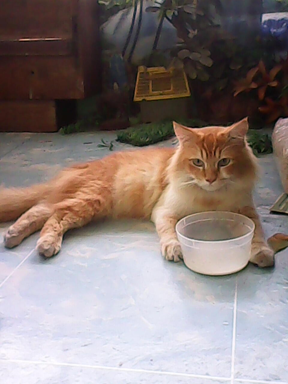 Bantuin ane terawang gan.. :(