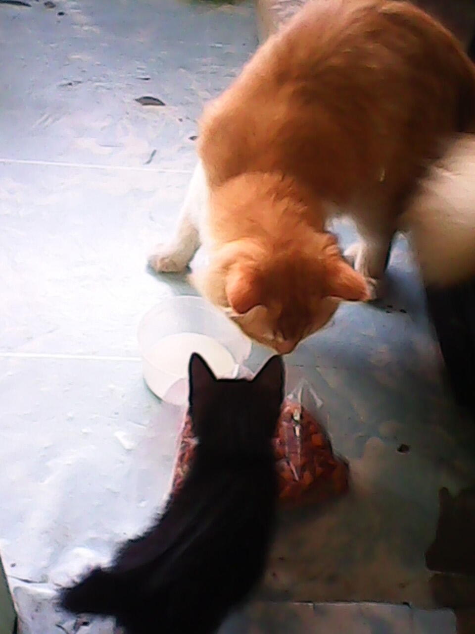 Bantuin ane terawang gan.. :(