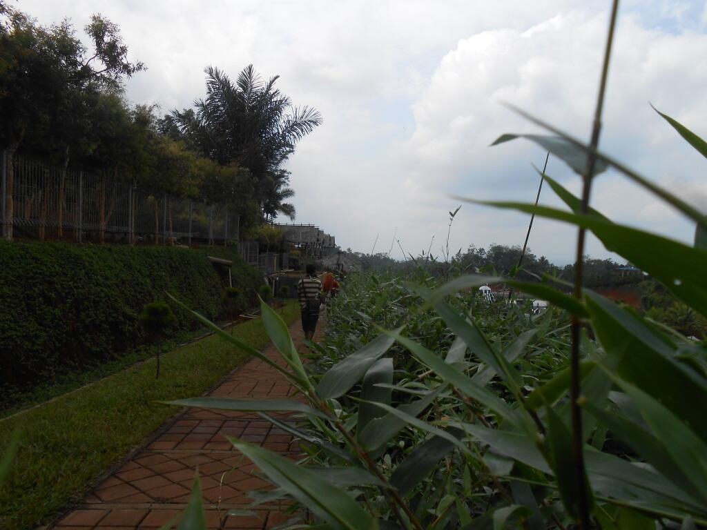MEGA WISATA ICAKAN