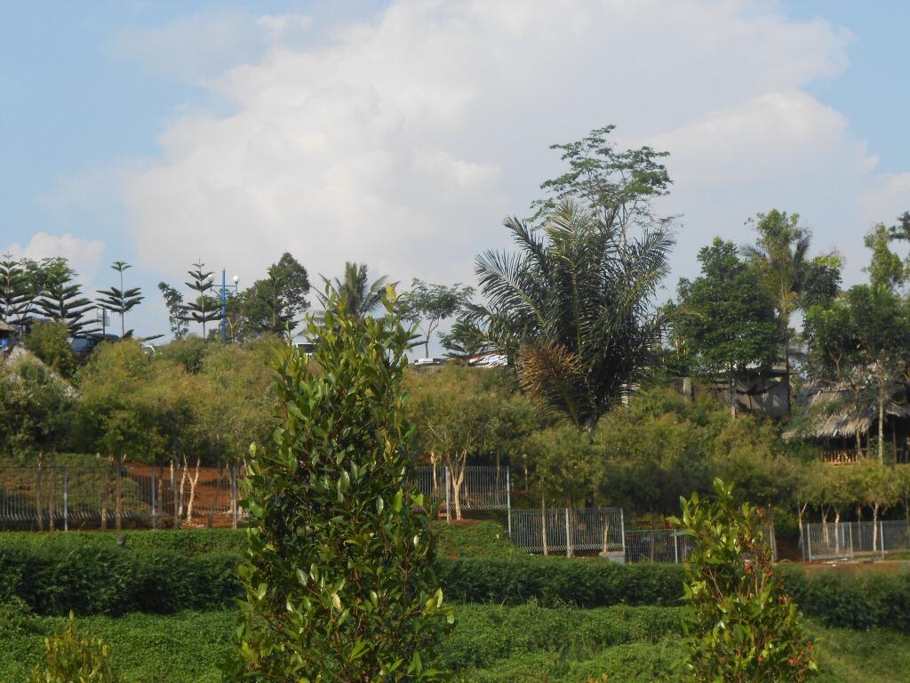 MEGA WISATA ICAKAN