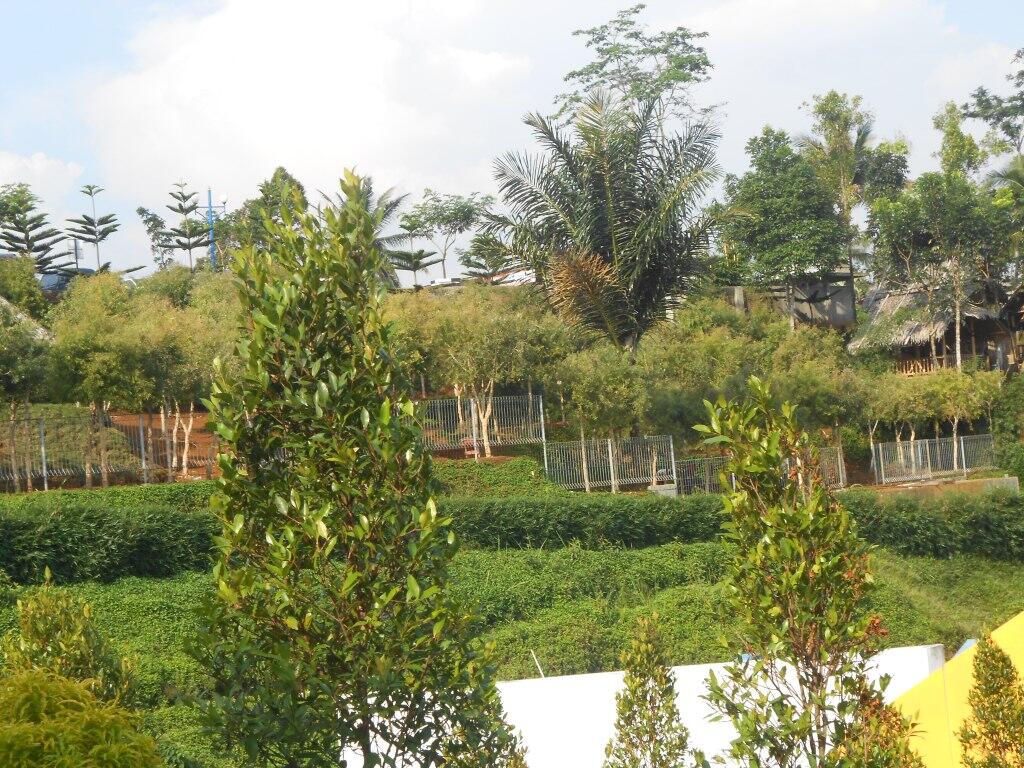 MEGA WISATA ICAKAN