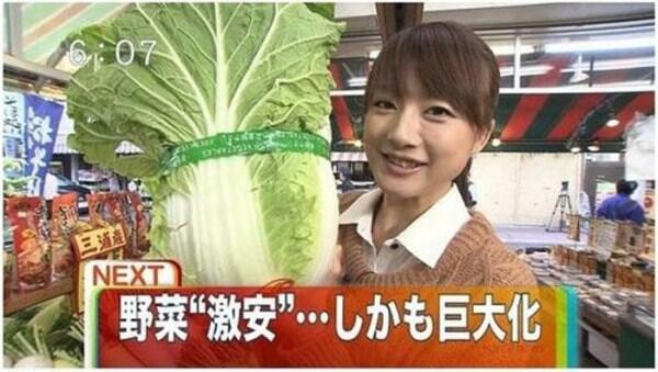 tumbuhan akibat mutasi gen &#91;JEPANG&#93;