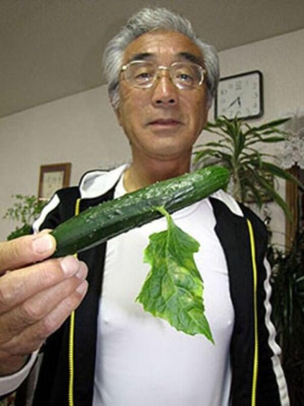 tumbuhan akibat mutasi gen &#91;JEPANG&#93;