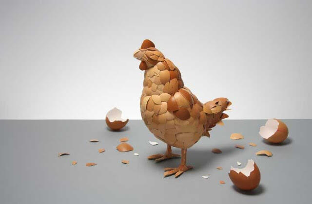 Unik! Kulit Telur Ayam Disusun Menjadi Ayam!