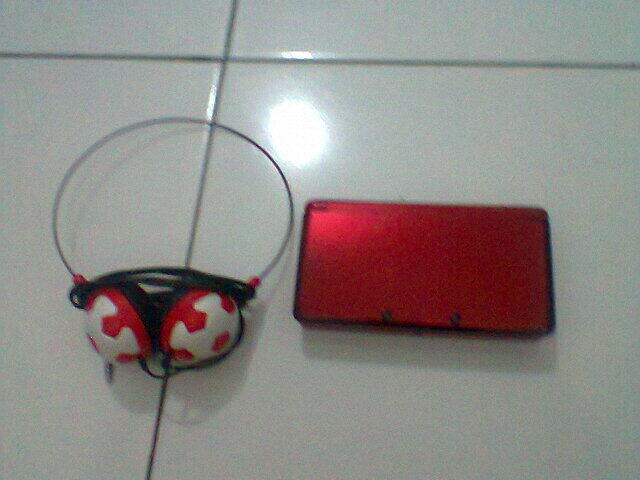 WTS Nintendo 3DS Bonus 40 Giga Micro Sd