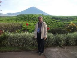 Keindahan Kebun Teh Kayu Aro di Gunung Kerinci