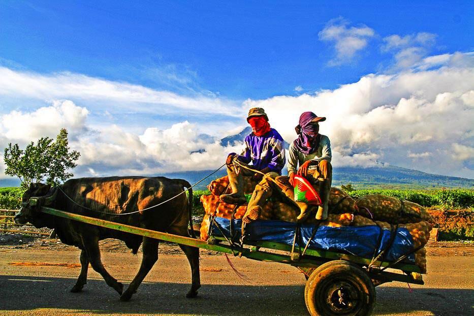 Keindahan Kebun Teh Kayu Aro di Gunung Kerinci