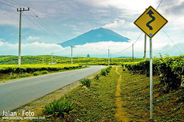 Keindahan Kebun Teh Kayu Aro di Gunung Kerinci