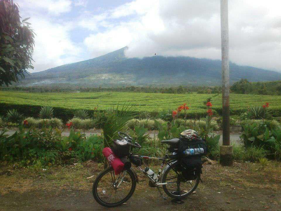 Keindahan Kebun Teh Kayu Aro di Gunung Kerinci