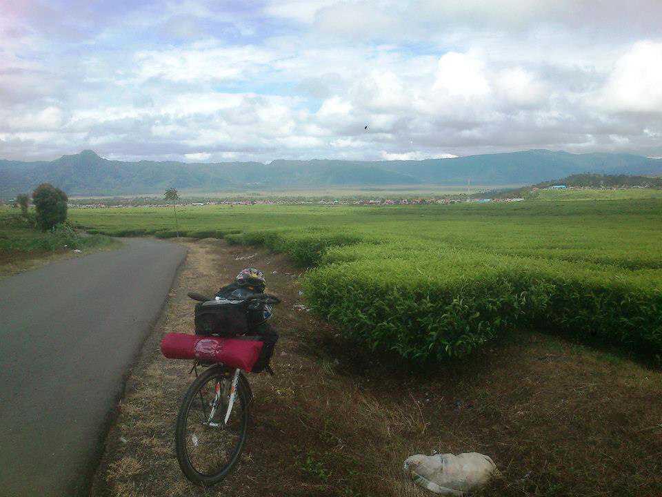 Keindahan Kebun Teh Kayu Aro di Gunung Kerinci