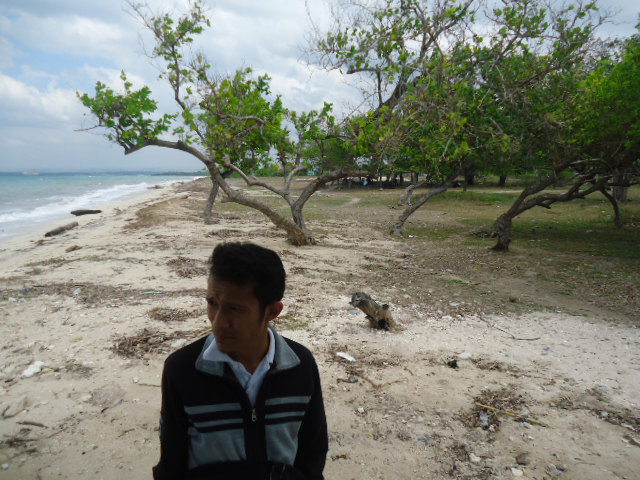 foto panas