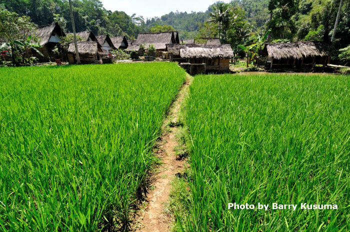 Kampung Naga The Beauty Culture of West Java.