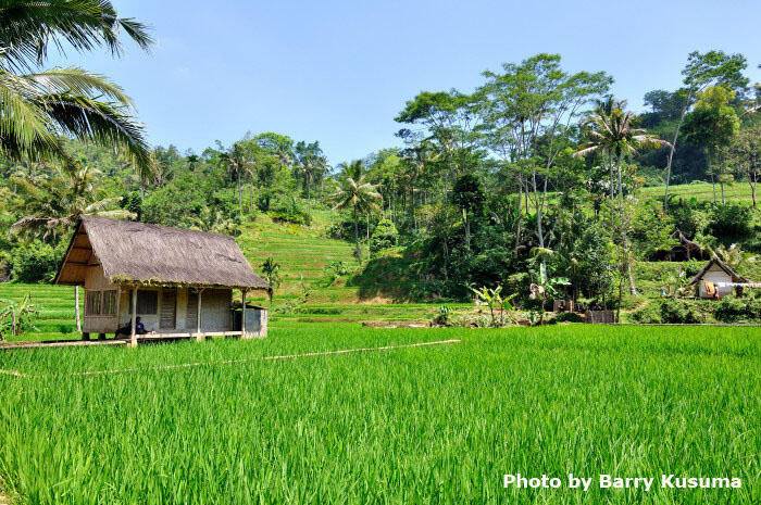 Kampung Naga The Beauty Culture of West Java.