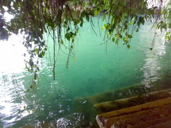 Sungai Terpendek Dunia Ternyata di Indonesia