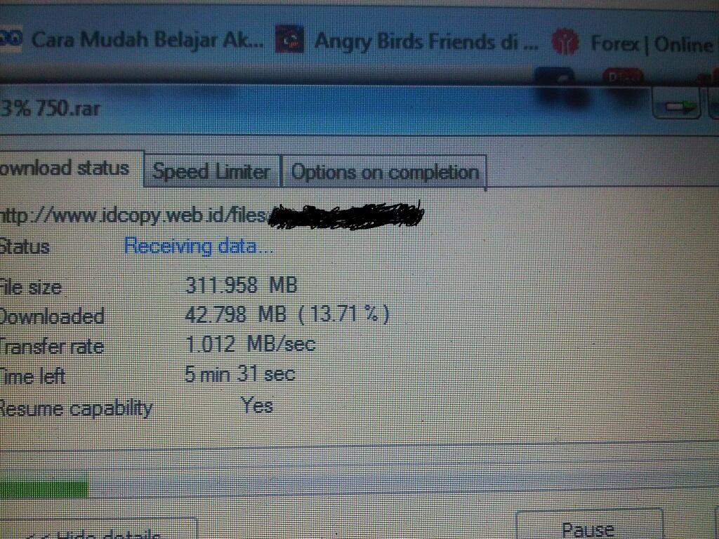 jual IDCopy Solusi Download Rapidleech Unlimited Trafic Space 60GB Suport 80+ Premium