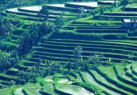 Ke Indahan Terasering Di Dunia