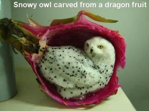 Fruits Animal (Hewan Tapi Buah?)