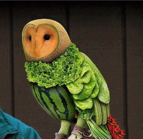 Fruits Animal (Hewan Tapi Buah?)