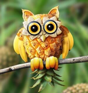 Fruits Animal (Hewan Tapi Buah?)