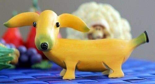 Fruits Animal (Hewan Tapi Buah?)