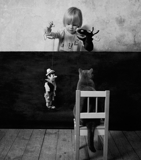 Fotografi Persahabatan Kucing dan Anak Kecil