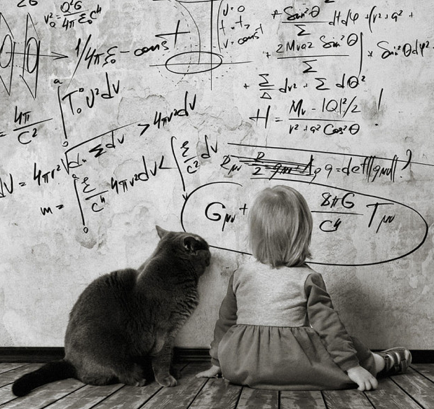 Fotografi Persahabatan Kucing dan Anak Kecil