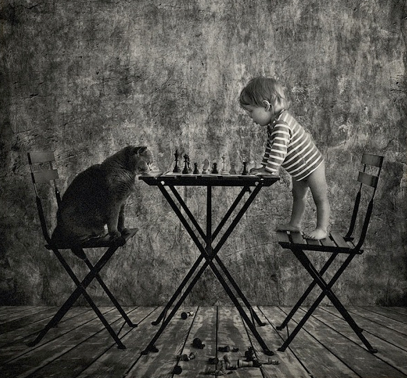 Fotografi Persahabatan Kucing dan Anak Kecil