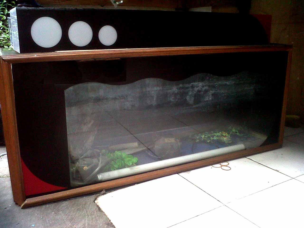 Unduh 80 Koleksi Background Aquarium Putih Paling Keren