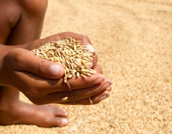 Seperti Apa Masa Depan Makanan pada Tahun 2050 ???