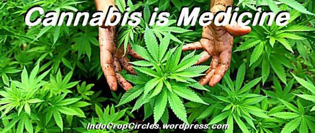 Fakta Ganja: Obat Kanker Untuk Masa Depan