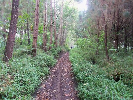 Toring Batu - Gunung Mujur - Kebun Teh