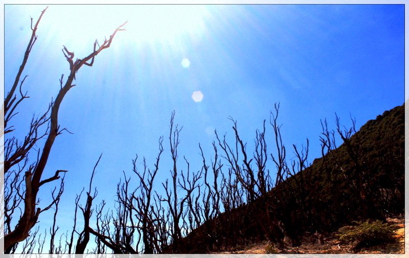 gunung papandayan