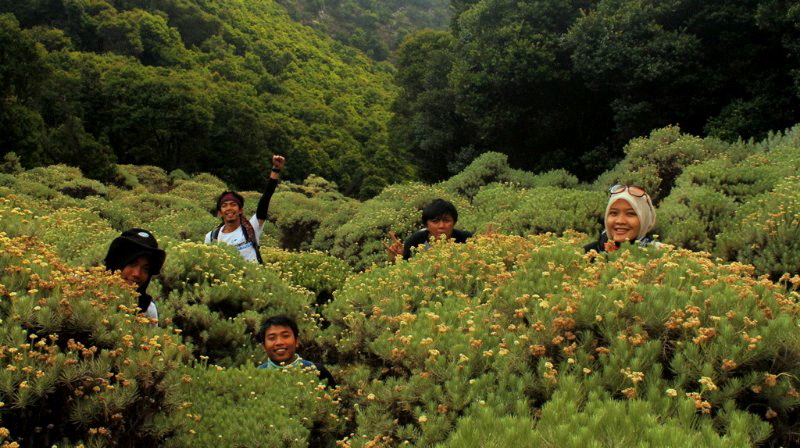 gunung papandayan