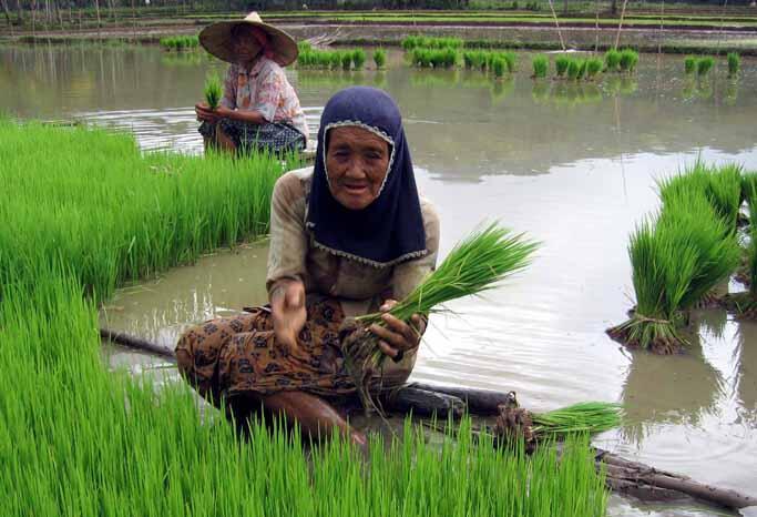 KHUSUS BURUH DKI JAKARTA! UPAH 3,7 JUTA ??? AJE GILE LU PADE!!