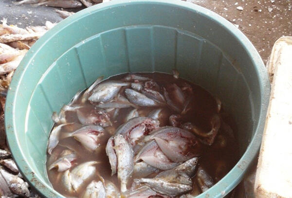 Beginilah Proses pembuatan Ikan Asin (yang doyan ikan asin masuk :p)