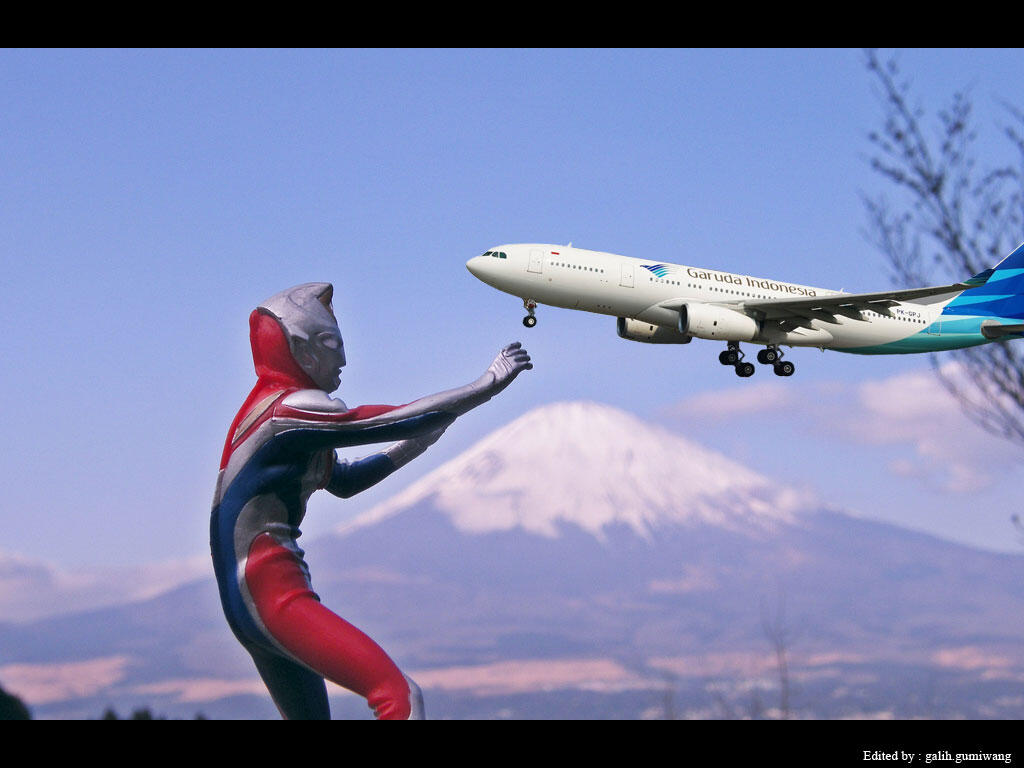 &#91;HOT&#93; Salah Satu Maskapai Penerbangan Indonesia di Bajak di Atas Langit Jepang !!!