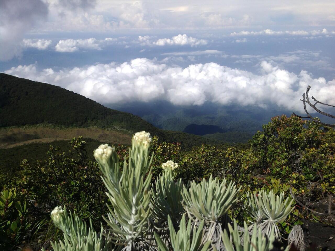 Pendakian Puncak Gunung Pertama at Gunung Gede