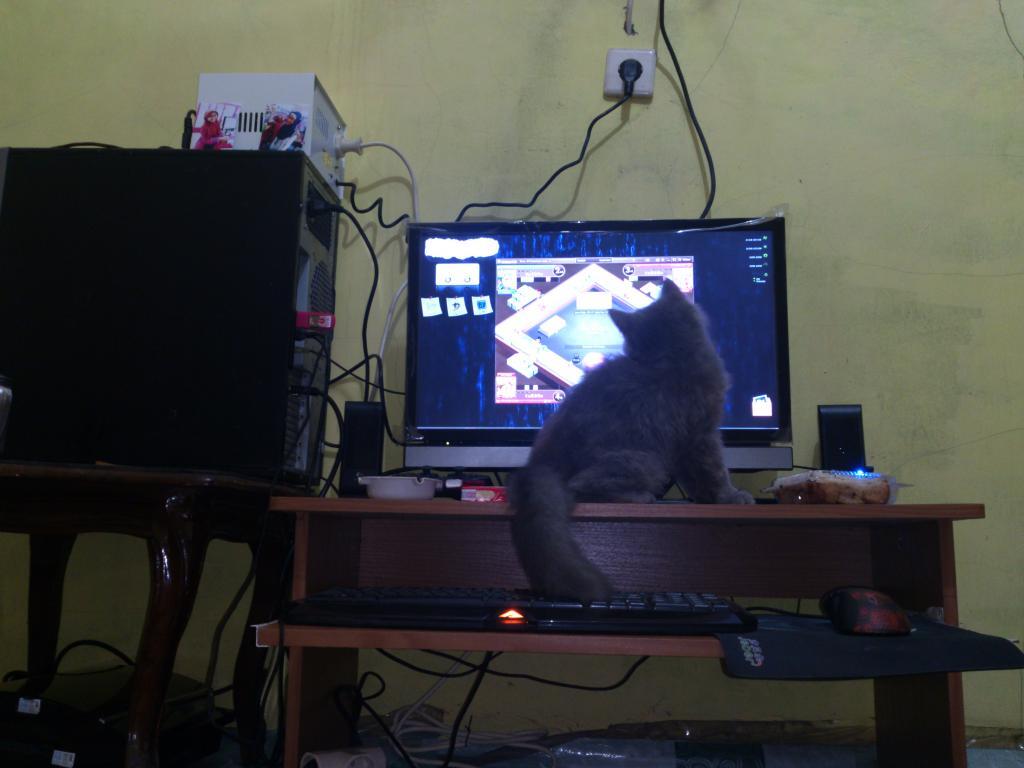 ONLINE dedepan monitor, di temenin sapa gan !!!