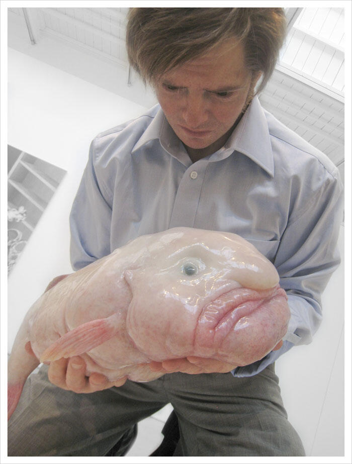 IKAN ANEH (Blobfish )