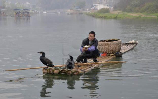 Nelayan Ini Menangkap Ikan Pakai Burung