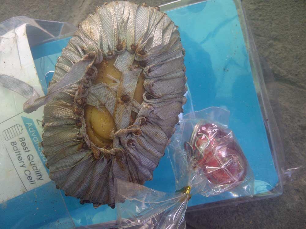 Hati-hati penipuan gan,penipu makin sangar