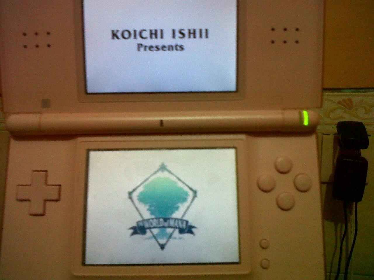 nintendo ds lite pink like new