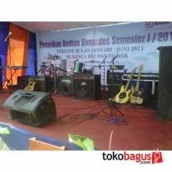 Speaker gantung linearay