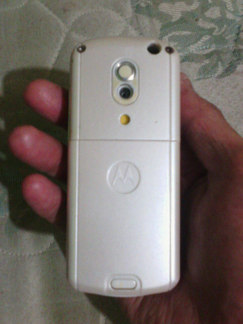 motorola rokr E398 white
