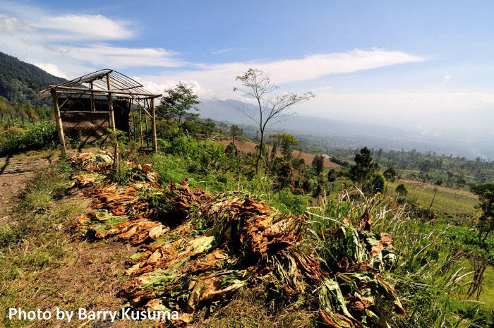 Pesona Kayangan Garut Swiss Van Java.